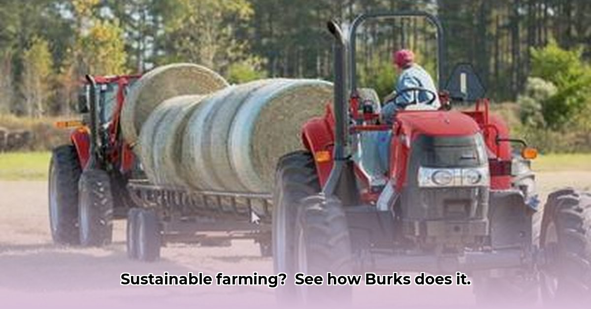 burks-tractor-twin-falls-id
